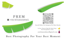 Banana Photography Banana Photography